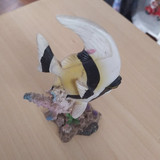 118005730 341401803559474 3097354576410282429 n