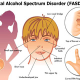 fasd2401