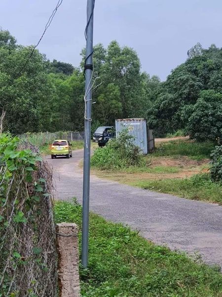 457376710 1571406713587457 3702841890719035977 n.jpg