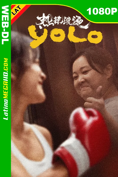 YOLO – Solo se vive una vez (2024) Latino HD WEB-DL 1080P