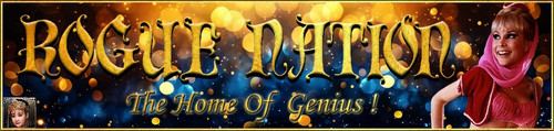 Genie Banner.jpg