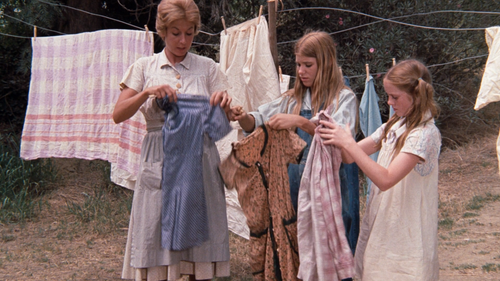 cap The Waltons S01E01 1080p WEB DL DD+ 2.0 x264 TrollHD 00 12 43 04.png