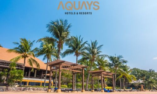 5 Things to Find the Best Hotels on Havelock Island.jpg