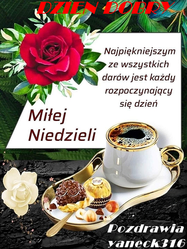 530x707 NIEDZIELA.png