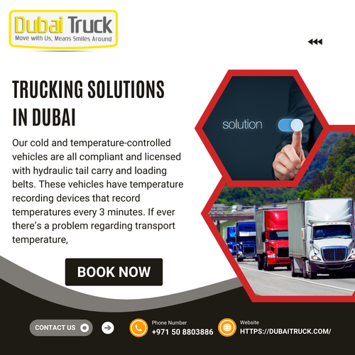 Trucking Solutions .in. Dubai.png