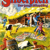 Silberpfeil 519
