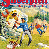 Silberpfeil 517