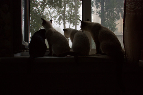 IMG 2566.jpg
