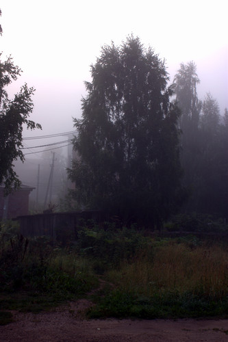 IMG 2568.jpg