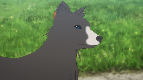 [Erai raws] Ookami to Koushinryou Merchant Meets the Wise Wolf 08 [1080p][Multiple Subtitle][AB74A19