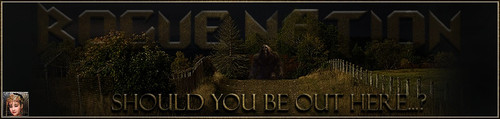 OutHere Banner.jpg