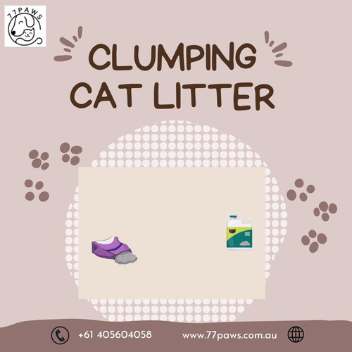 Shop Best Quality Clumping Cat Litter.jpg