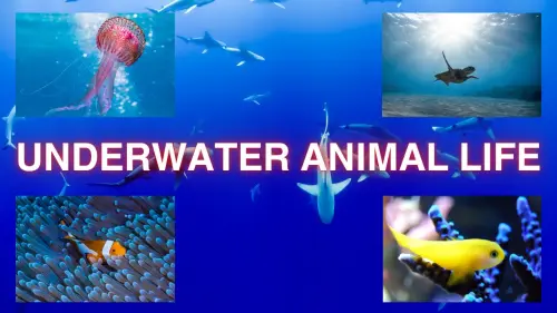 under water animal.webp