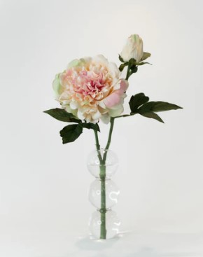 Bride and Bloom.jpg