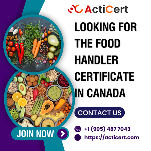Looking For The Food Handler Certificate In Canada.png