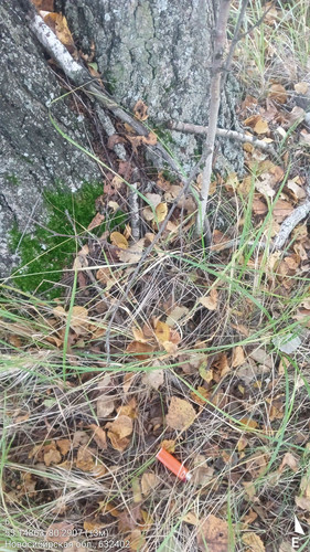 6 89° 101м 55.14863, 80.2907 (±3м) 19092024 082216.jpg