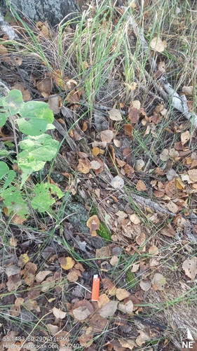 17 54° 102м 55.1483, 80.29073 (±3м) 19092024 083441.jpg