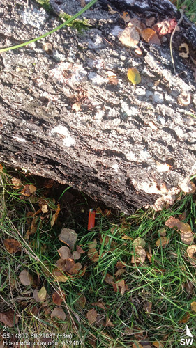 21 213° 100м 55.14807, 80.29087 (±3м) 19092024 084104.jpg