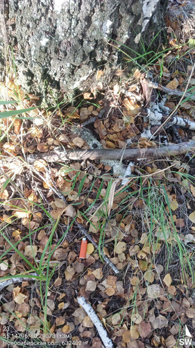 23 230° 100м 55.14796, 80.29073 (±3м) 19092024 084302.jpg