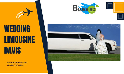 Wedding Limousine Davis.jpg