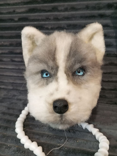 1726693781 844612622.jpg