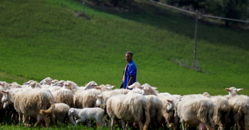 GXyZwLRW0AEe kj?format=jpg.jpg