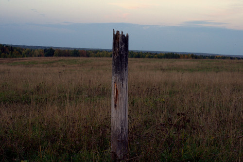 DSC 0015.jpg