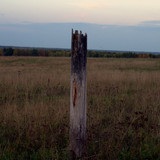 DSC 0015