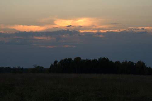 DSC 0018.jpg