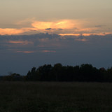 DSC 0018