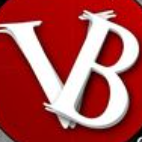 Best Logo Design Company in Canada - Verve Branding.png