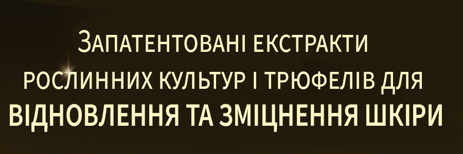 01 копия