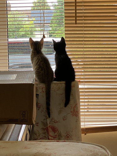 BD132E21 EA4E 46AD B517 EA74D8BFC413