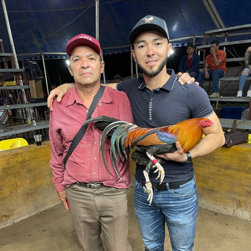 Gallos La Estrella.jpg