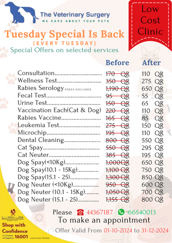 Tuesday Offer English (1).png