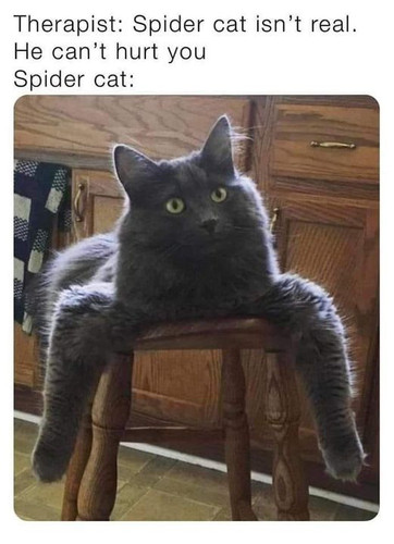 460441504 454242750978697 1322740810182811783 n.jpg