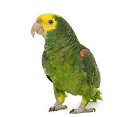 Screenshot 2024 09 18 123642.png