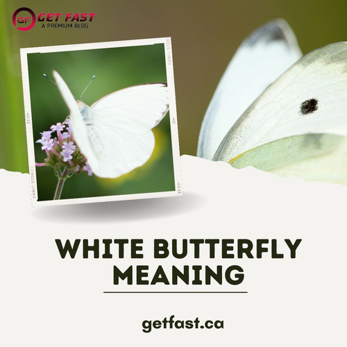 White Butterfly Meaning.jpg