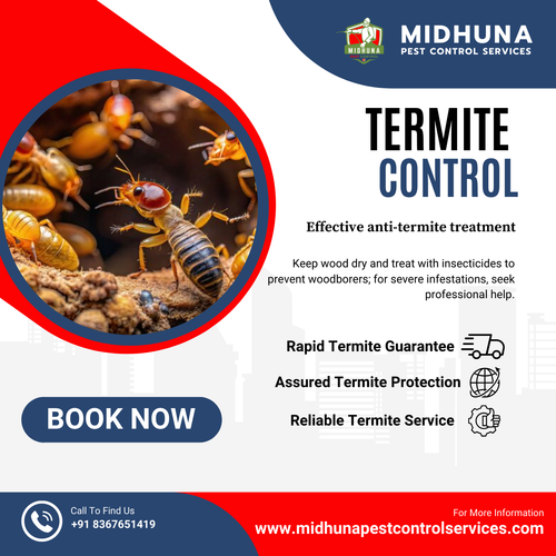 Need termite control in Hyderabad?.png