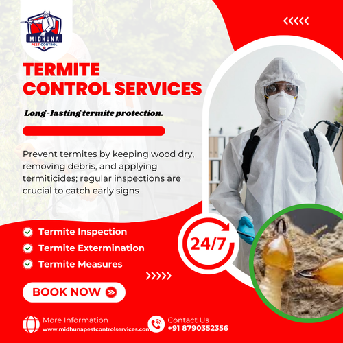 Worried about termites in Hyderabad?.png