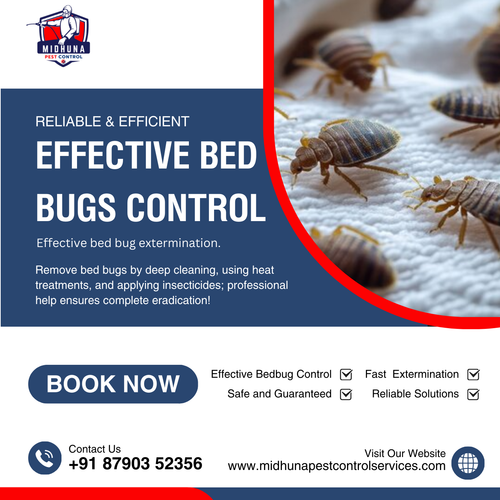Need bed bugs control in Hyderabad?.png