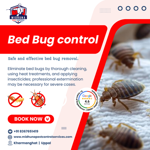 Looking for reliable bed bugs control in Uppal?.png