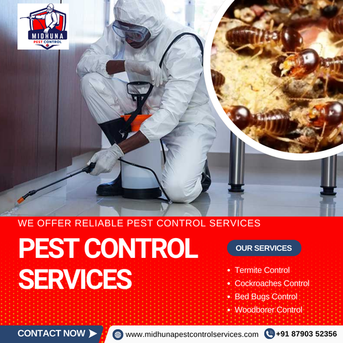 Need reliable pest control in Hyderabad?.png