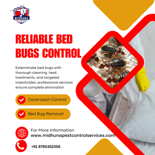 Bed bugs in Uppal?