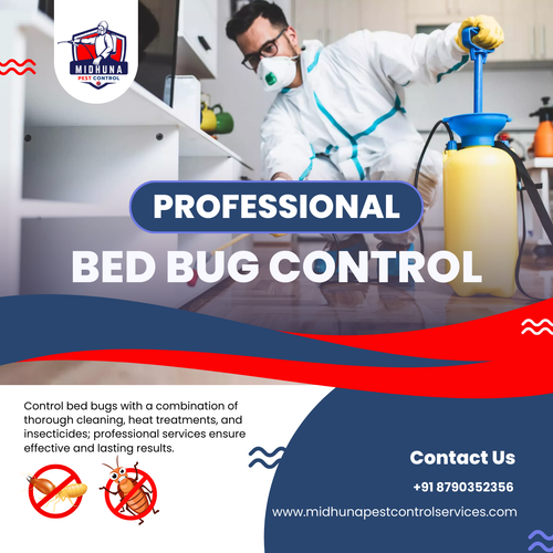 Need bed bugs control in Hyderabad?.png