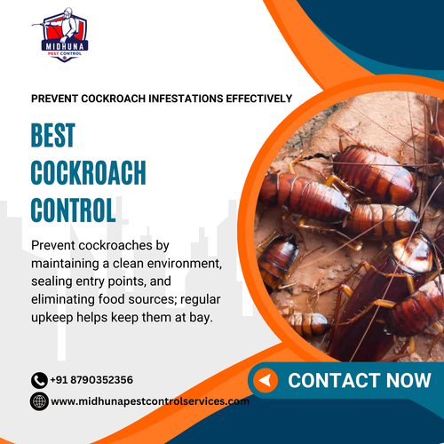 Need cockroach control in Hyderabad?.png