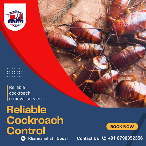 Need cockroach control in Hyderabad?.png