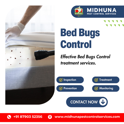 Looking for reliable bed bugs control in Hyderabad?.png