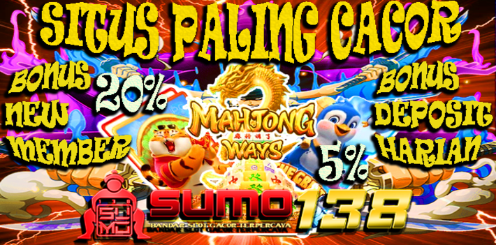 SUMO138 BANNER