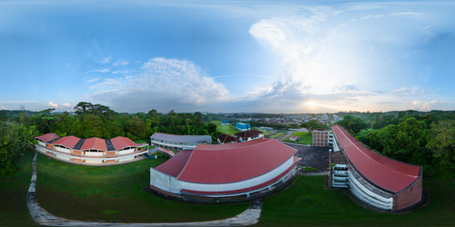 13Jun24 VR 7.30am SpringLeaf.jpg